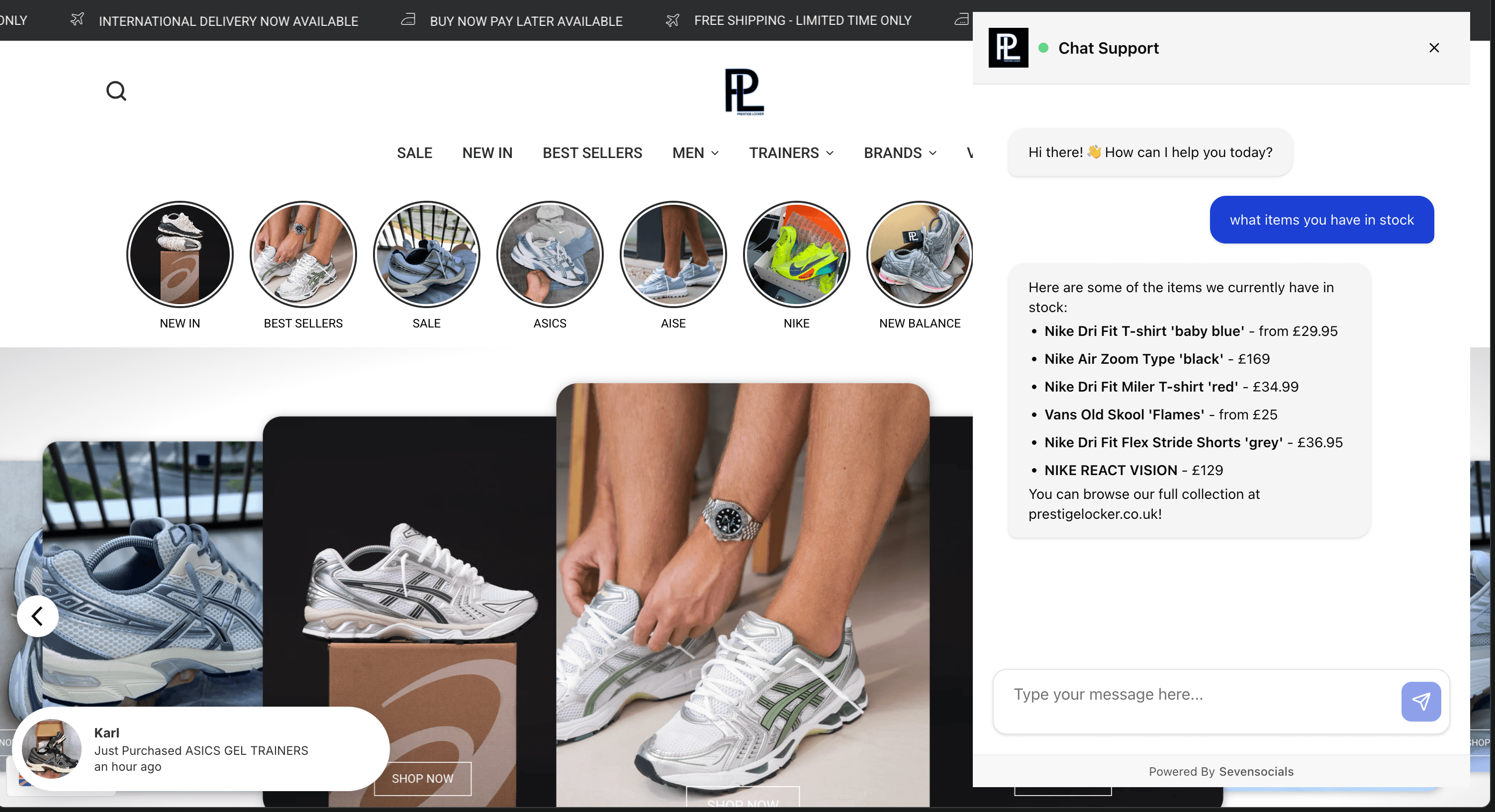 AI Shopify Customer Service Agent - Screenshot 1
